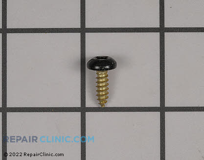 Screw 154419403 Main Product View