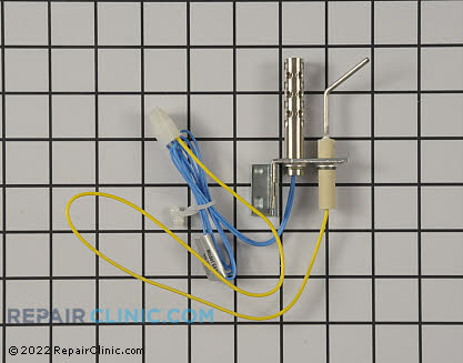Flame Sensor 9005256015 Main Product View