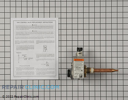 Gas Valve and Thermostat Assembly 9003407105 Main Product View