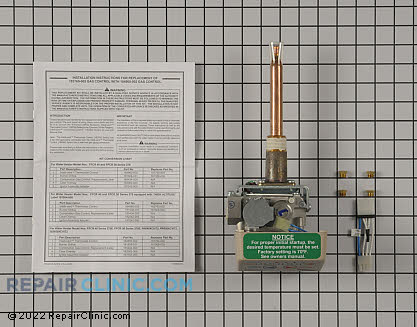 Gas Valve and Thermostat Assembly 9004267005 Main Product View