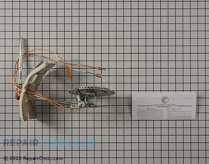Nat gas burner assembly (OEM)  9003382005