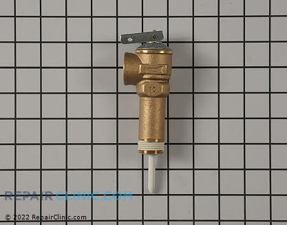 Temperature and Pressure Relief Valve 9001583005 Main Product View