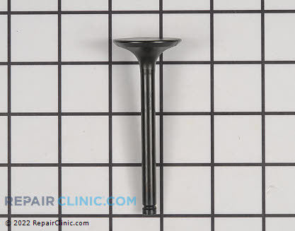 Intake Valve 12004-2084 Main Product View