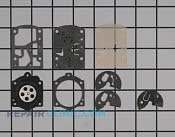 Carburetor Kit - Part # 2443878 Mfg Part # D10-WB