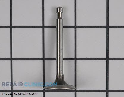 Intake Valve 14711-Z0J-800 Main Product View