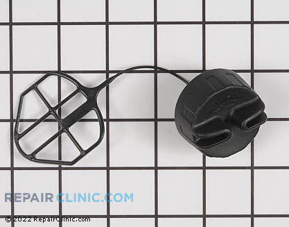 Gas Cap (Genuine OEM)  545073101