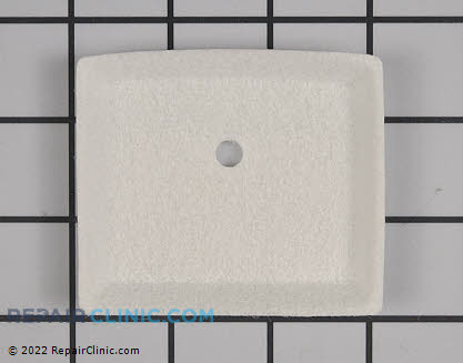Air Filter (Genuine OEM)  13031003930