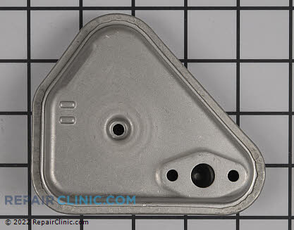 Muffler (Genuine OEM)  309320002