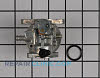 Carburetor 492498          Alternate Product View