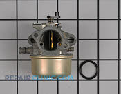 Carburetor - Part # 1641355 Mfg Part # 492498