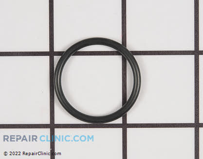 O-Ring 21125GS Main Product View