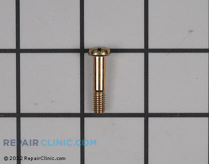 Screw 17811005330 Main Product View