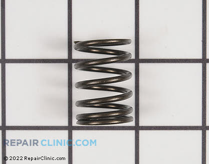 Valve Spring 31672 Main Product View