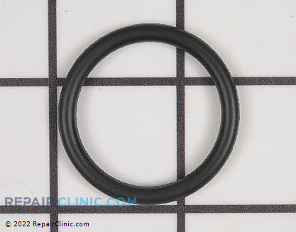 O-Ring WS03X10011 Main Product View