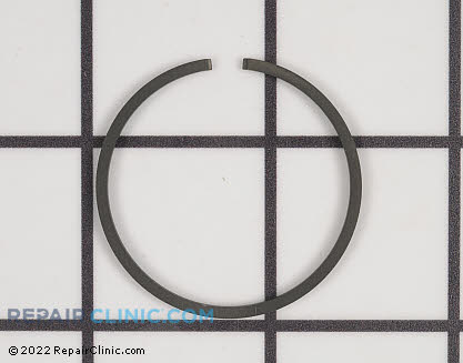 Piston Ring 10001109560 Main Product View