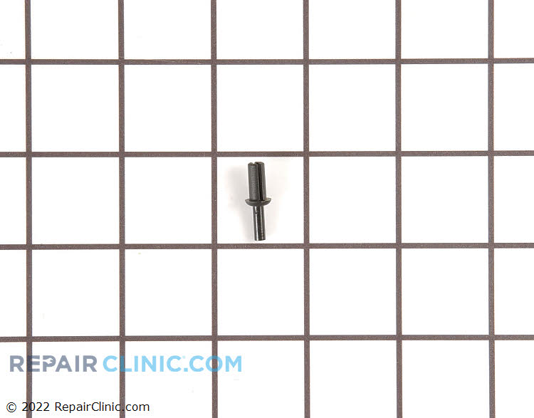 WP3196813 Rivet