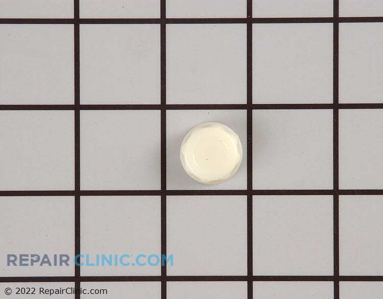 WS01X10008 Cap