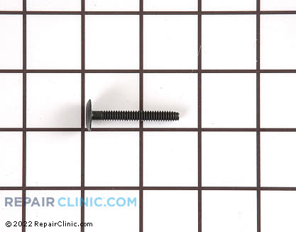 Screw 316001014 Alternate Product View