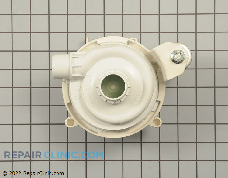 Dishwasher circulation pump and motor assembly