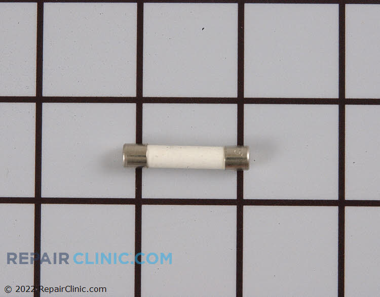 AMI2041 Line Fuse