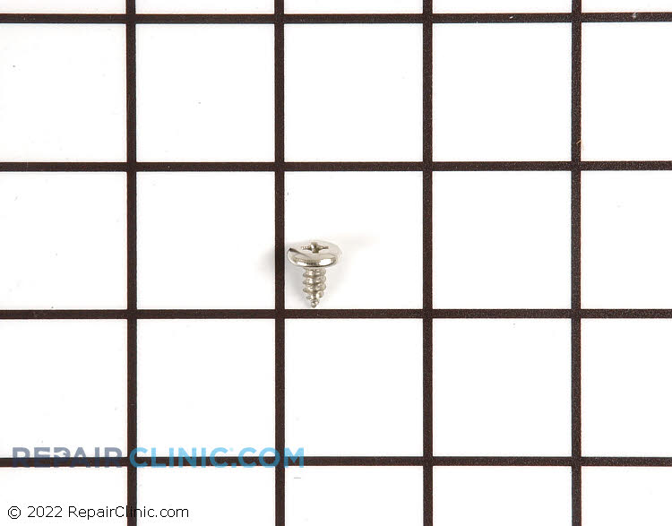 WP3196175 Screw