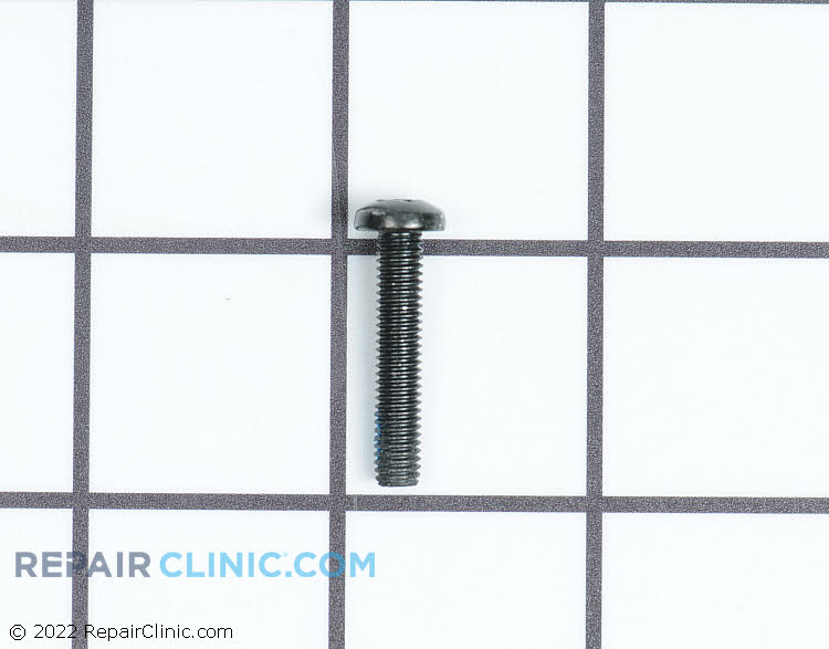 WP4381696 Screw