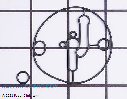 Float Bowl Gasket 698781 Alternate Product View
