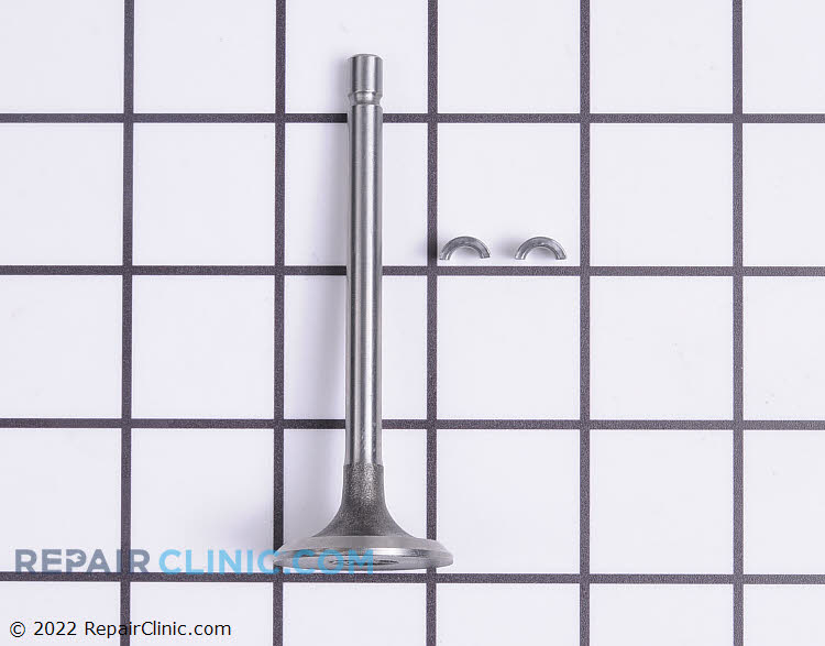 807680 Intake Valve