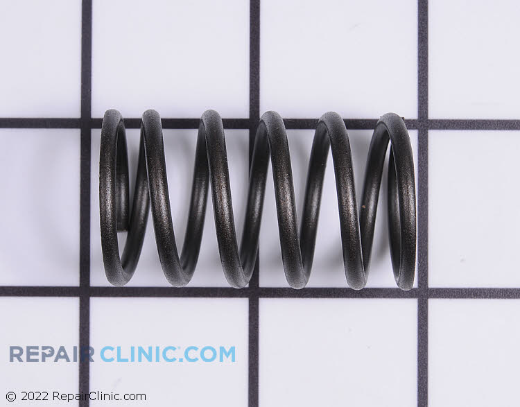 691605 Valve Spring