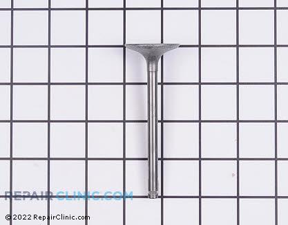 Intake Valve 12004-2096 Alternate Product View