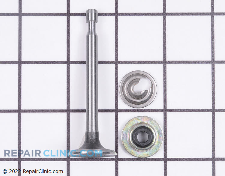 Intake Valve 37711 Fast Shipping