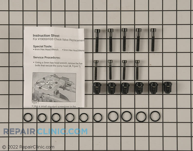 Briggs & Stratton OEM 190591GS replacement kit-check valve 