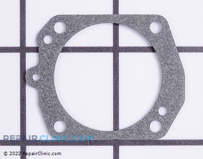 Gasket 530035228 Alternate Product View