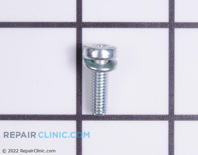 650431 Screw