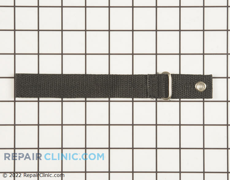308652001 Strap