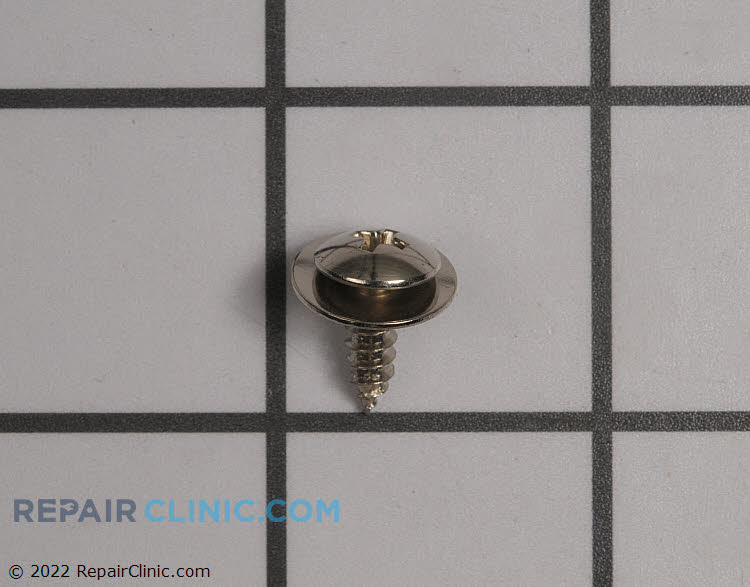 WP74003976 Screw