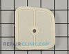 Air Filter 13031052130