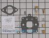 Carburetor Repair Kit 492024