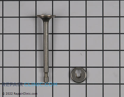Intake Valve 27877A Alternate Product View