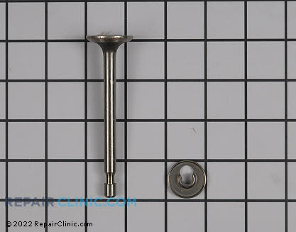 Intake Valve 27877A Alternate Product View
