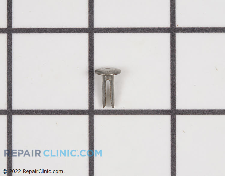 30319 Rivet