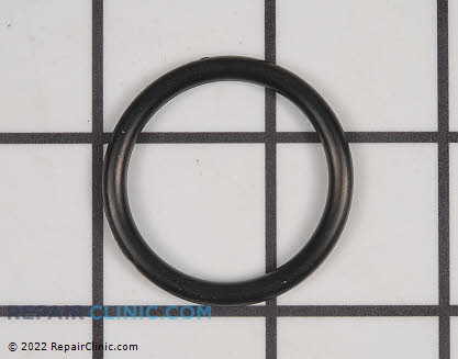 O-Ring V581000600 Alternate Product View
