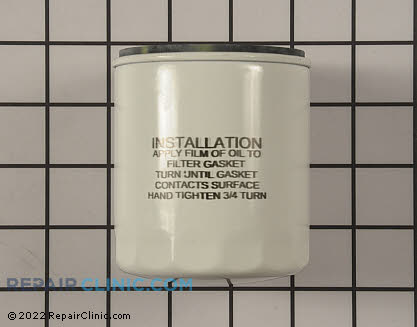 Oil Filter 1719168YP Alternate Product View