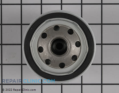 Oil Filter 539102606 Alternate Product View