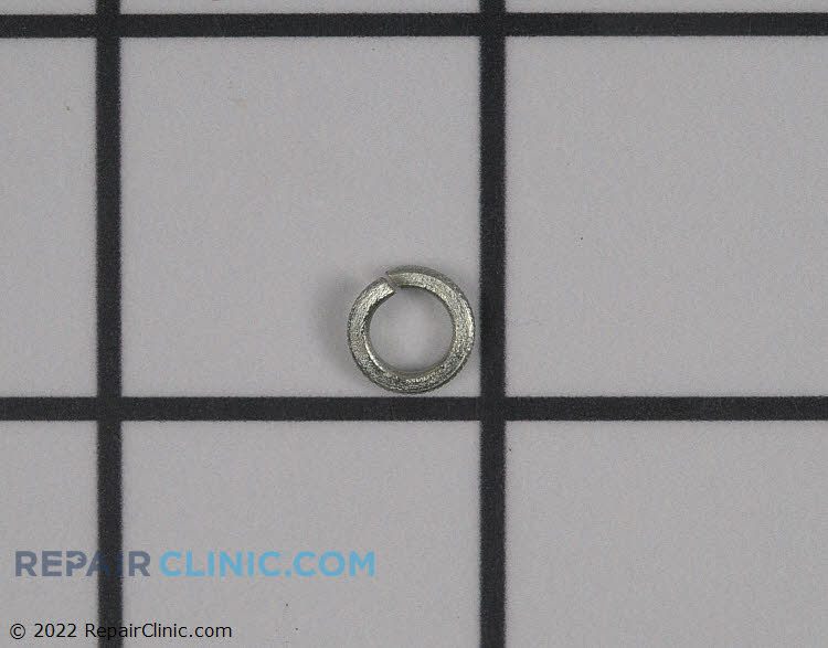 99069001005 Spring Washer