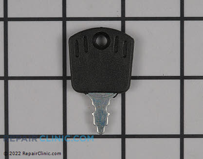 Ignition Key 532122147 Alternate Product View