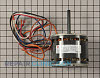 Blower Motor 1013341