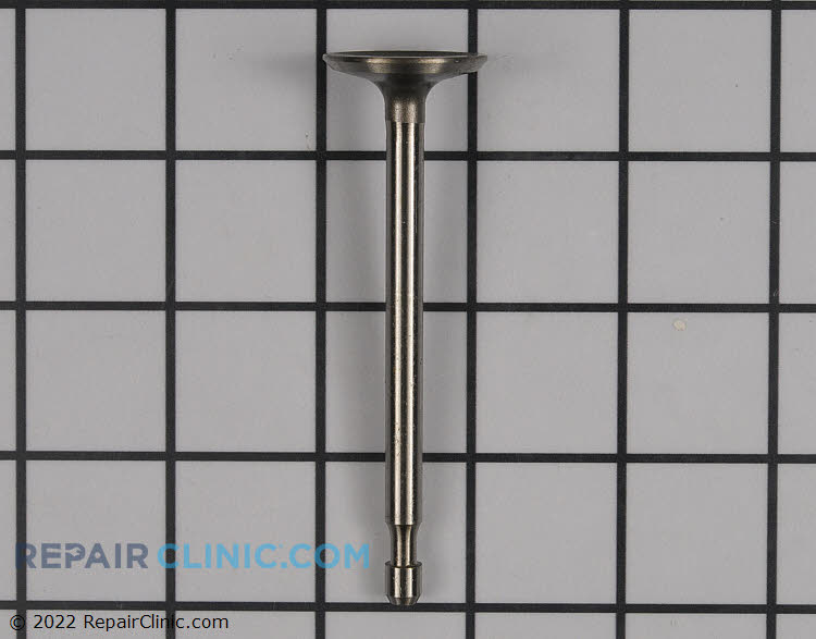 590393 Intake Valve