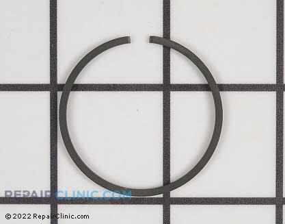 Piston Ring 10001109560 Alternate Product View