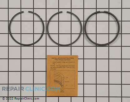 Piston Ring Set 493261 Alternate Product View